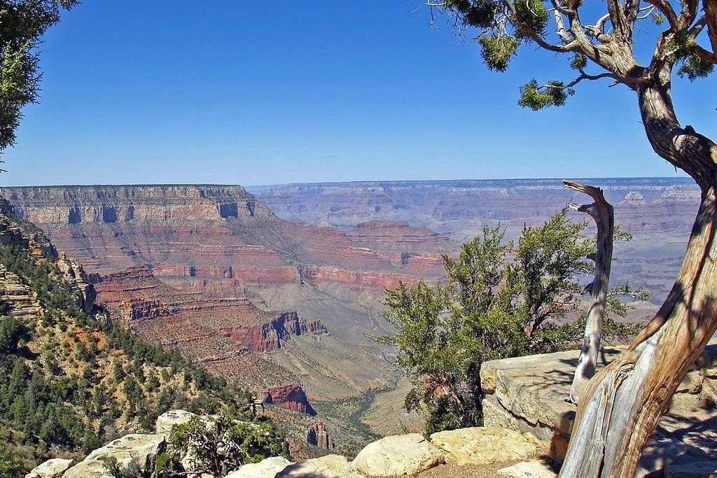 Best things to do in Grand Canyon with kids - OutsideSuburbia.com