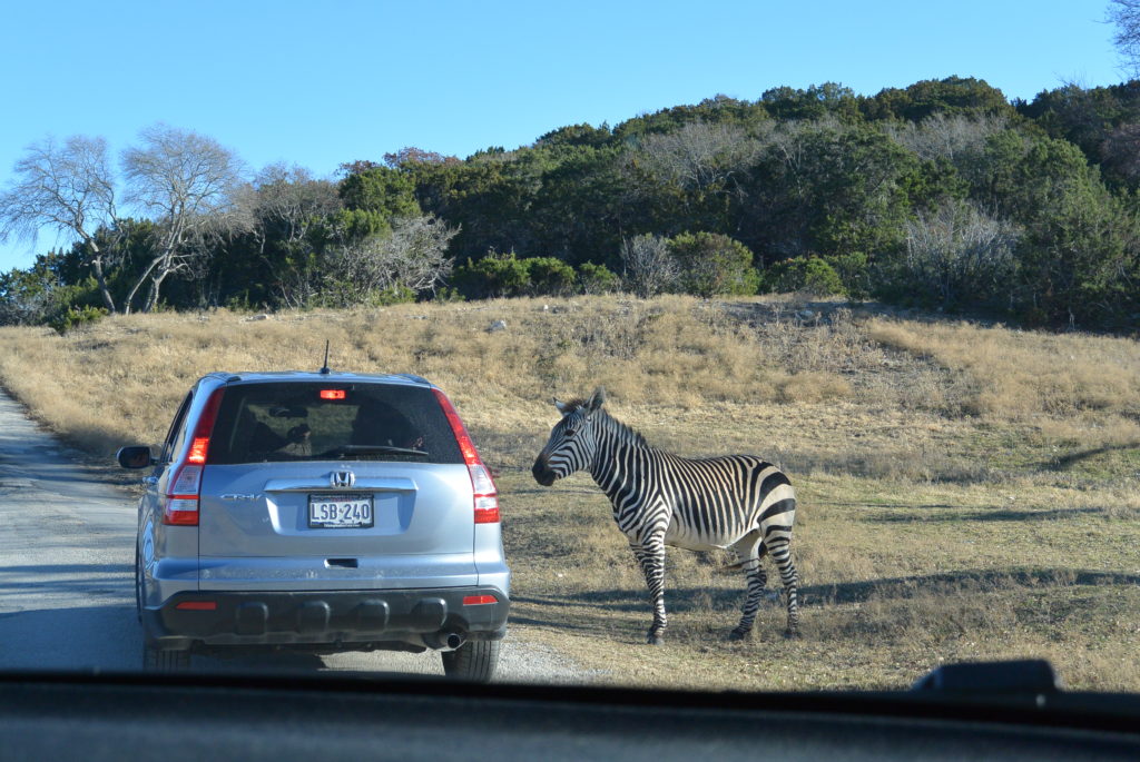 Outside Suburbia - Fossil Rim