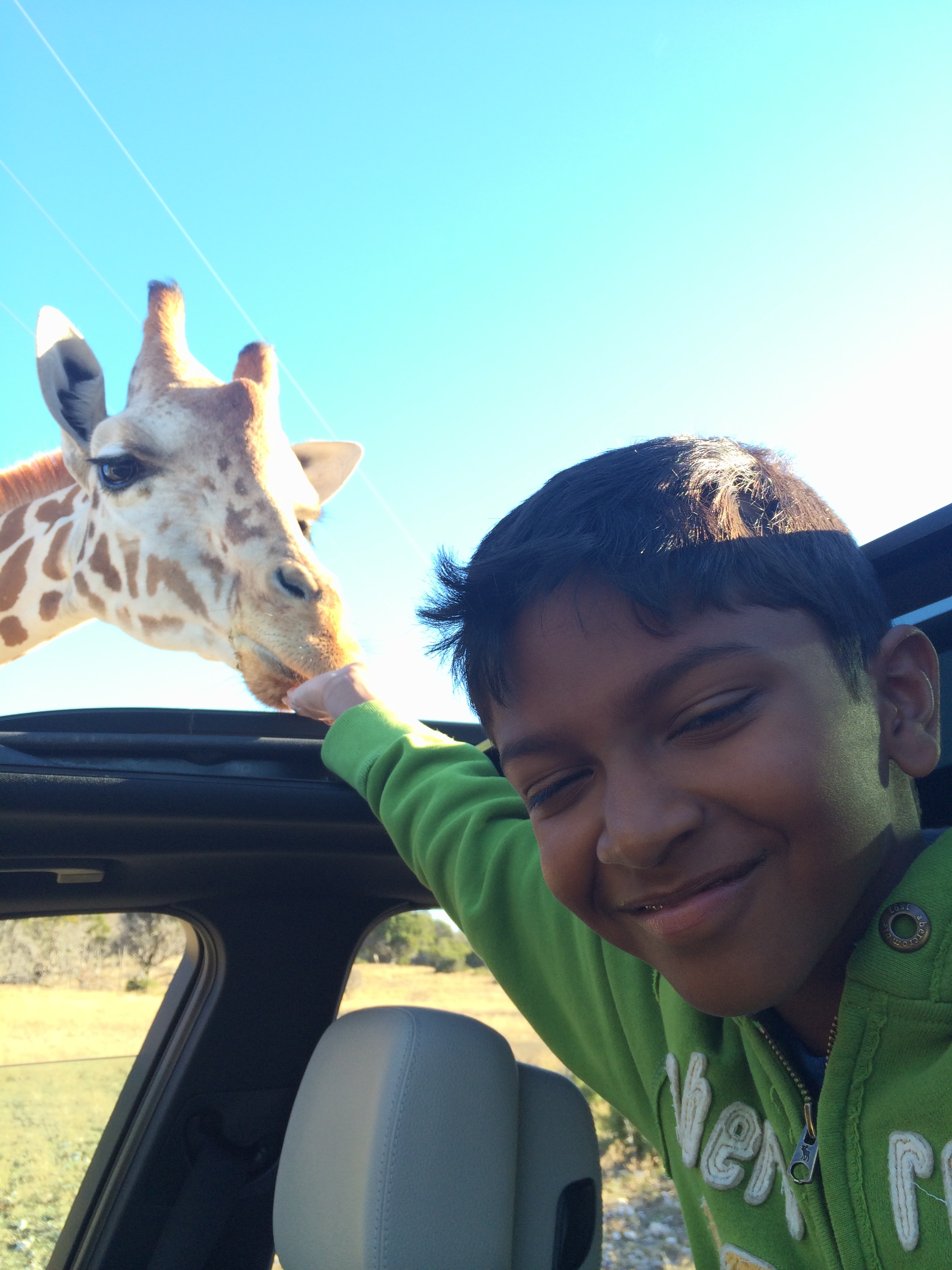 Fossil Rim in Glen Rose, TX