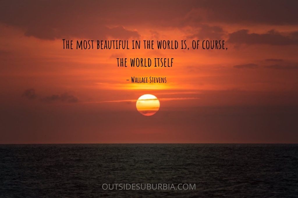 traveling the world quotes