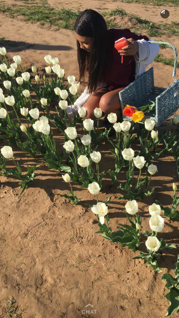 Tulip fields near Dallas - Outside Suburbia