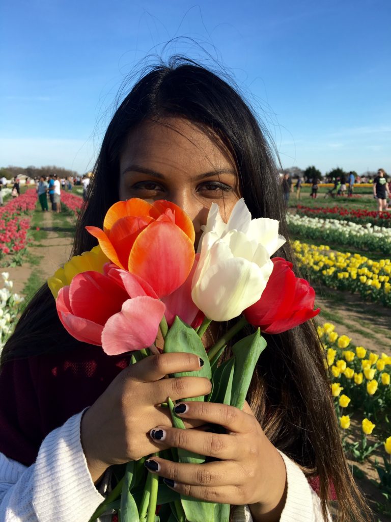 Texas Tulips A Tulip Field Near Dallas Outside Suburbia Travel