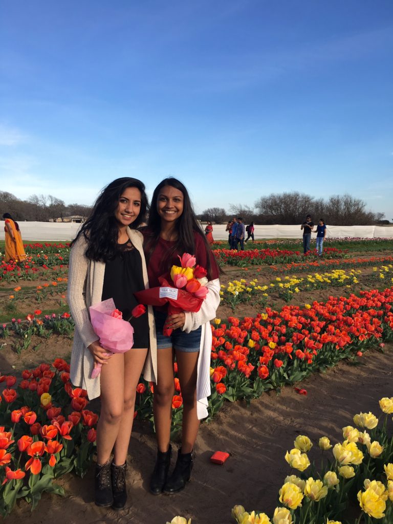  Texas Tulips - Outside Suburbia