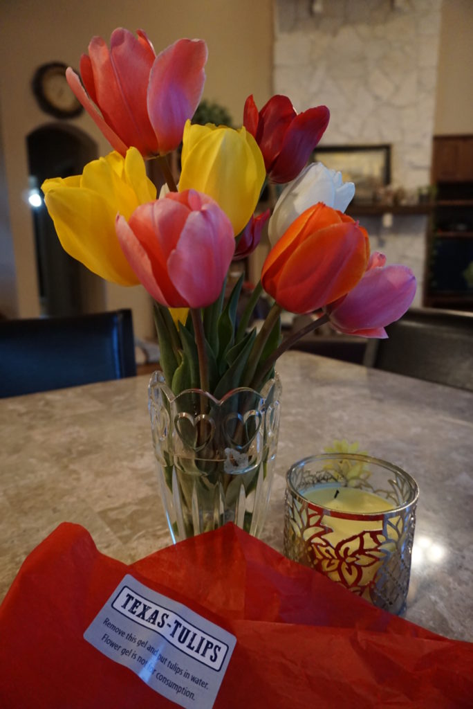  Texas Tulips - Outside Suburbia