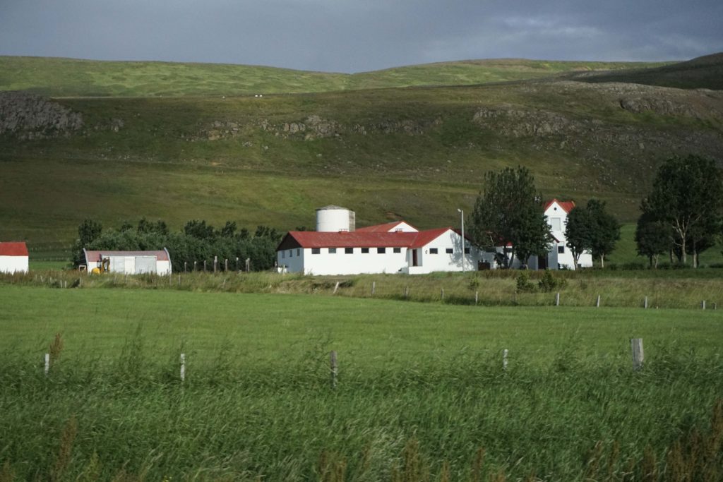 Farms on the way back to Akureyri, North Iceland | Outside Suburbia