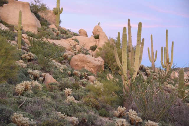 13 Most Beautiful Places in Arizona • Outside Suburbia Family
