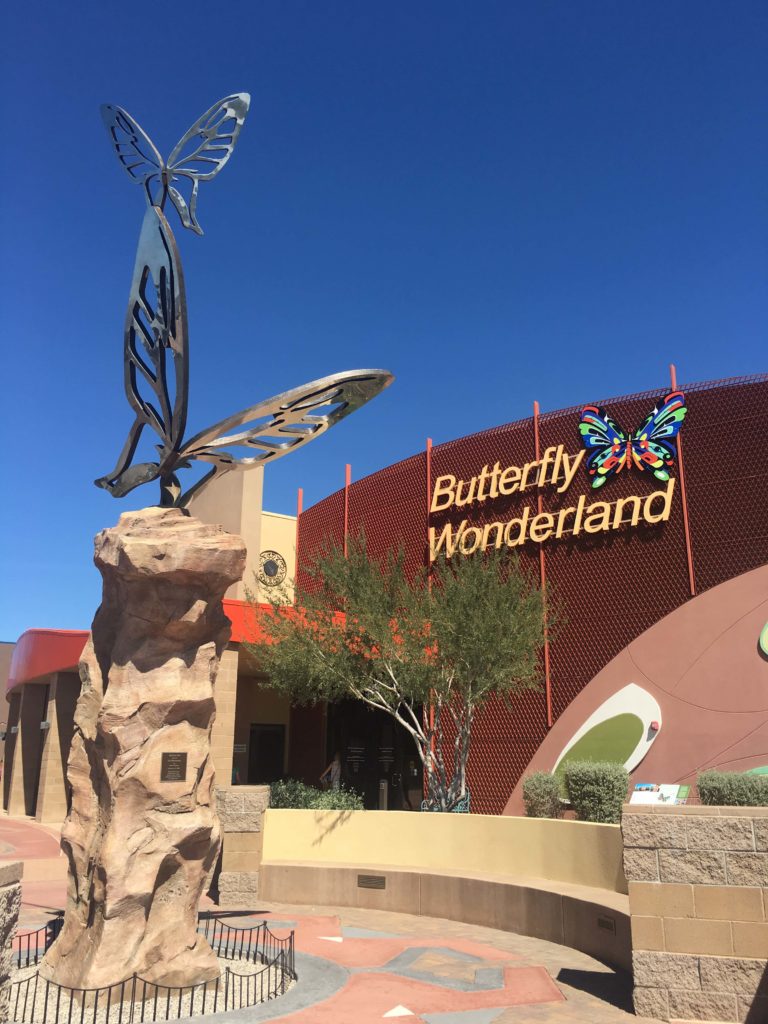 Butterfly Wonderland : One of my Happy Places in Scottsdale Arizona - outsidesuburbia.com