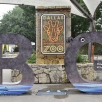 Dallas Zoo