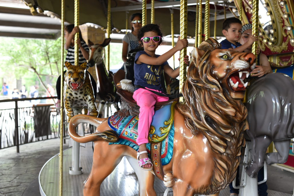 Ride on the Endangered Species Carousel - 9 Best things to do at the Dallas Zoo - outsidesuburbia.com