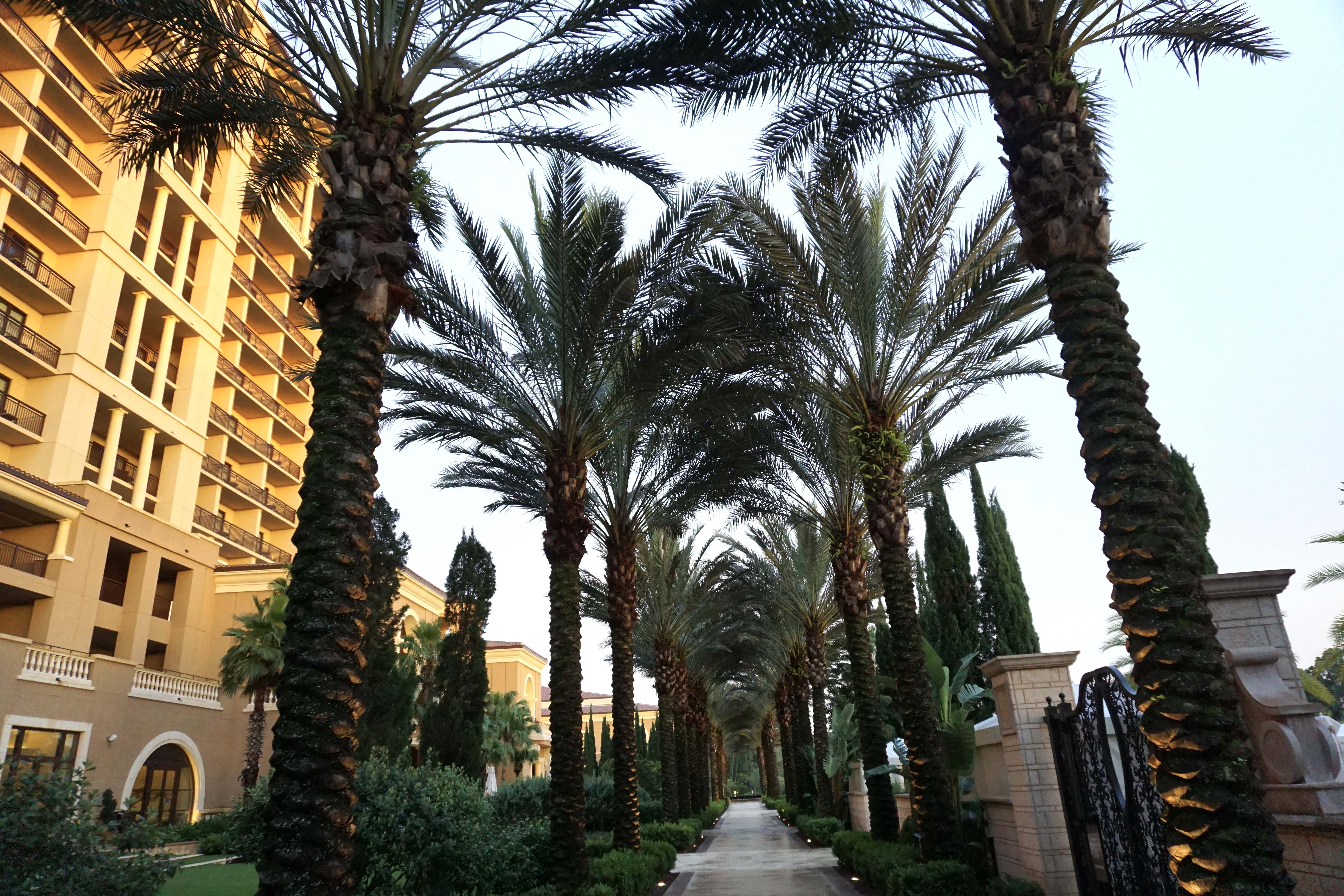 Four Seasons Resort Orlando : Perfect blend of luxury & the Magic of Disney - A Review by Outside Suburbia