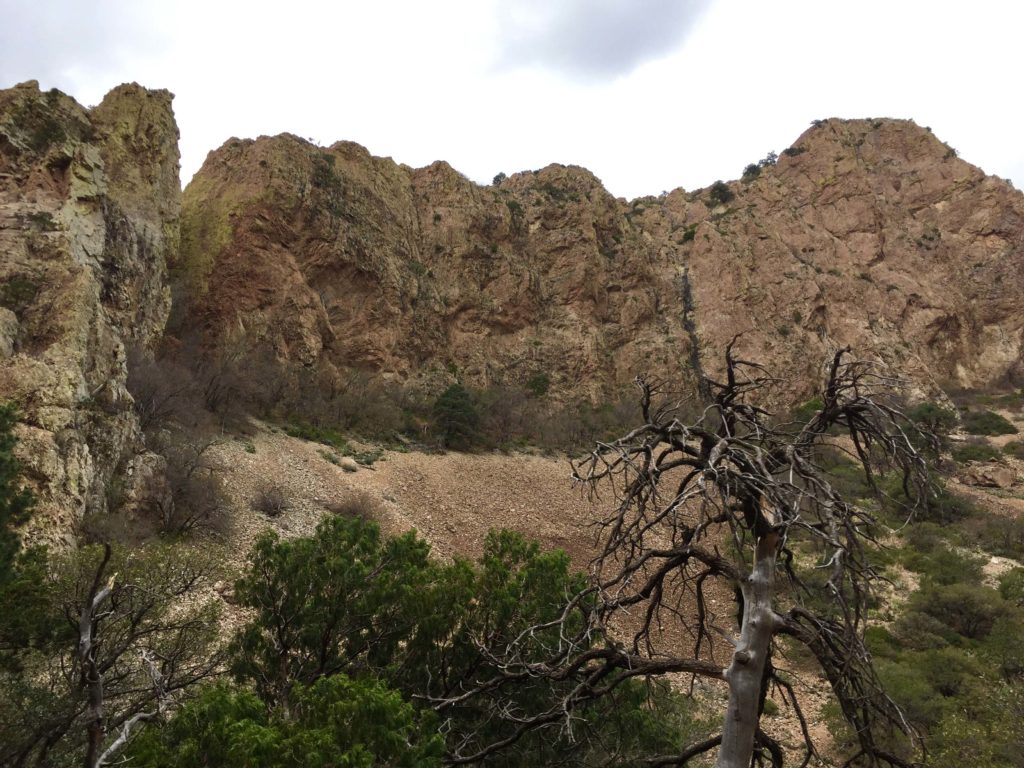 Guide to planning an epic Texas road trip to the #BigBendNationalPark.