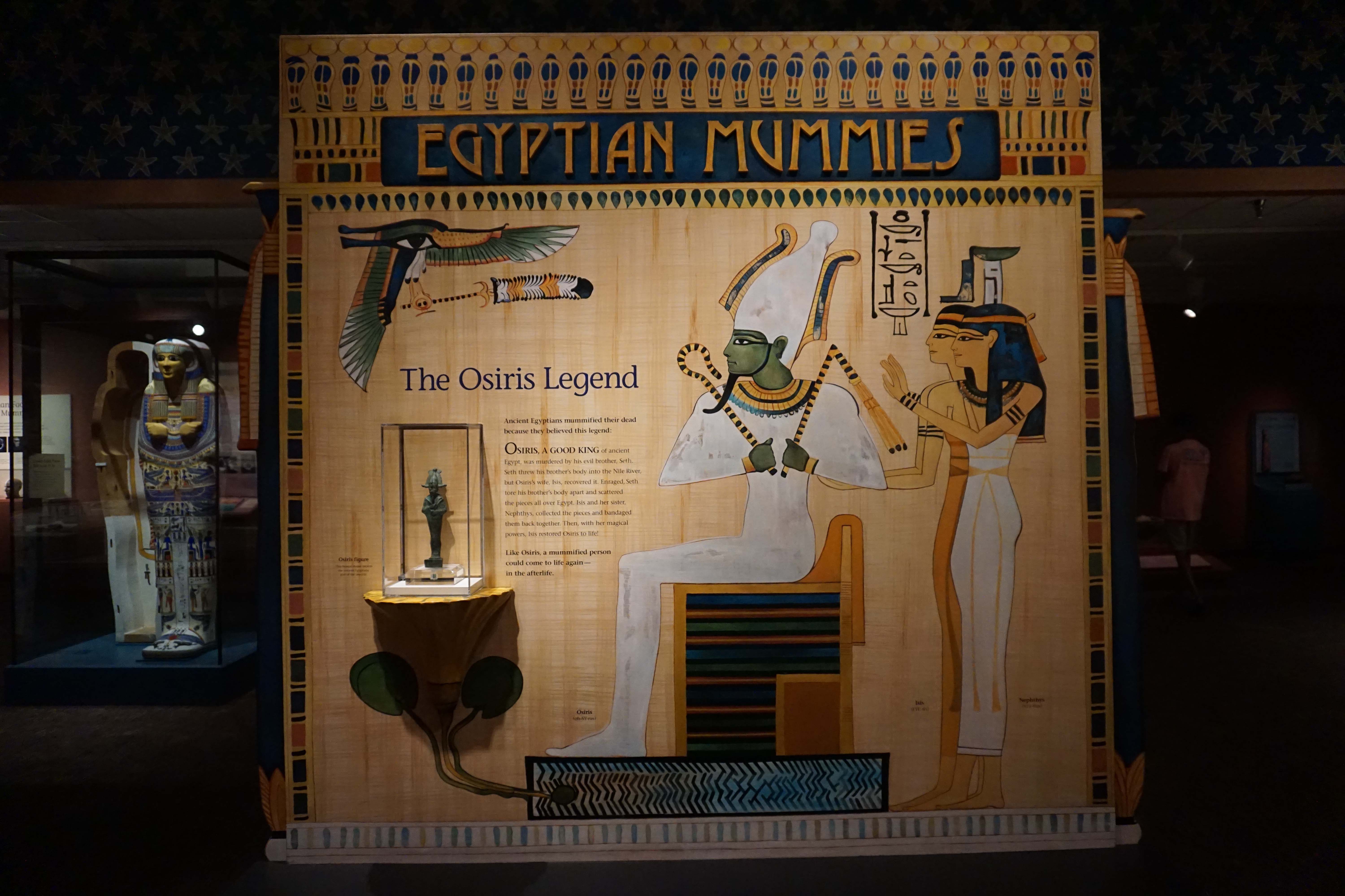 Egyptian Mummies exhibit at Denver Museum. See the all other things to do in Denver, Colorado with kids #Denver #Colorado #ThingsToDo