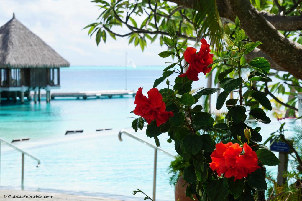Photo Blog of Bora Bora - OutsideSuburbia.com