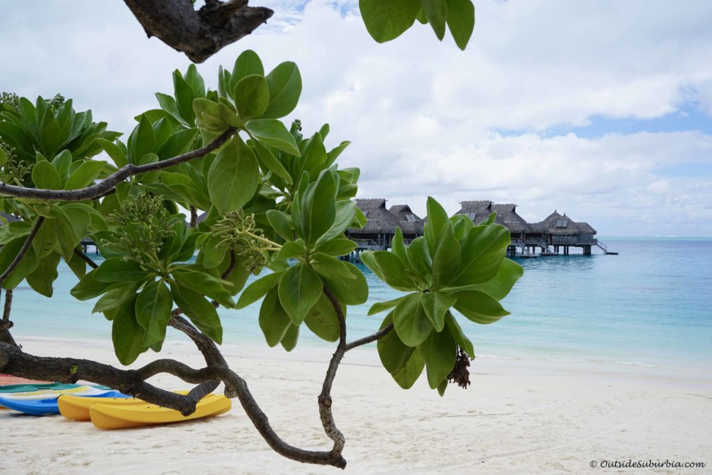 Photo Blog of Bora Bora - OutsideSuburbia.com