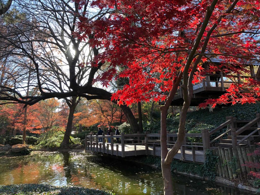 Where to find Fall colors in Fort Worth - Photo by @OutsideSuburbia