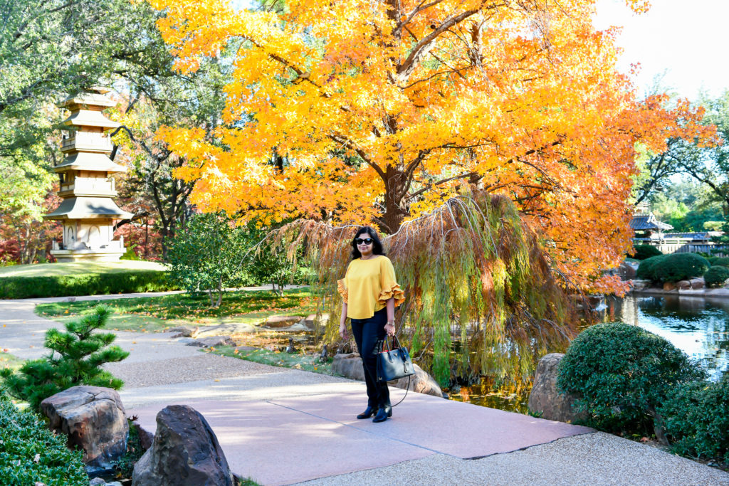 Where to find Fall colors in Fort Worth - Photo by @OutsideSuburbia