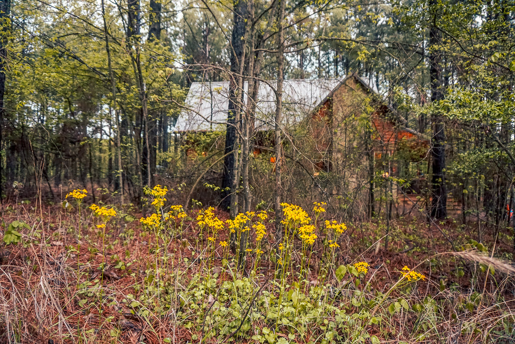 Where to stay in Beavers Bend State Park - Photo by Outside Suburbia