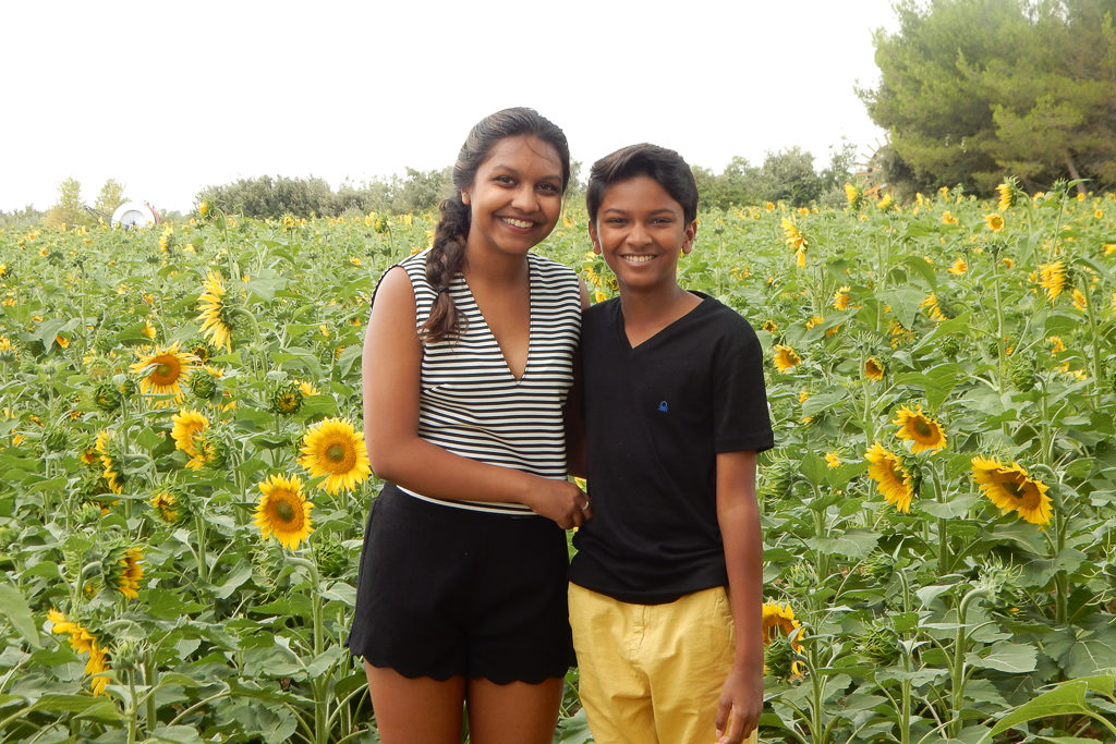 Sunflower fields near Aix-en-Provence | Provence and French Riviera Itinerary | Outside Suburbia