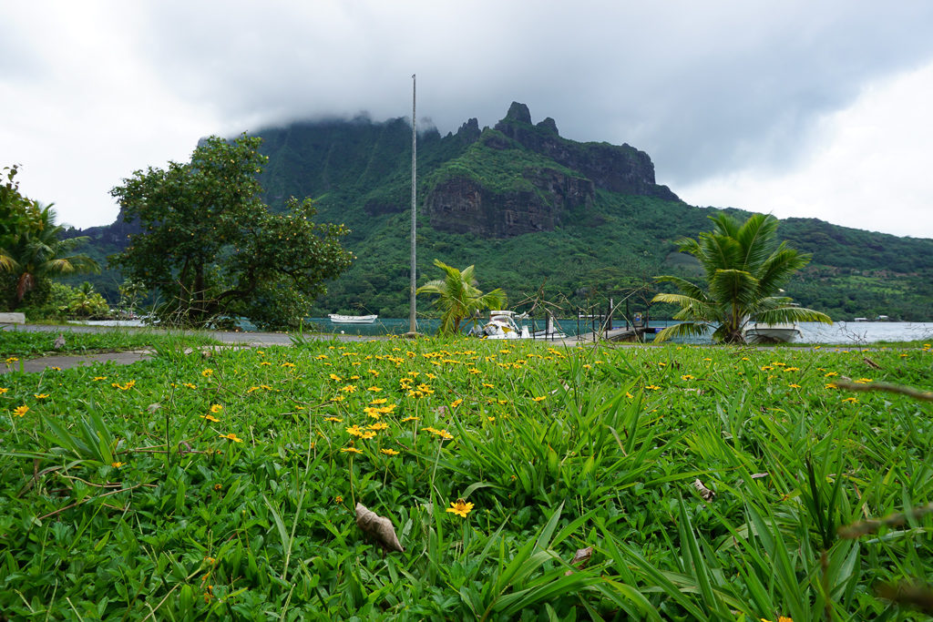 Photo Blog - Moorea Island Drive - Photo by Outside Suburbia