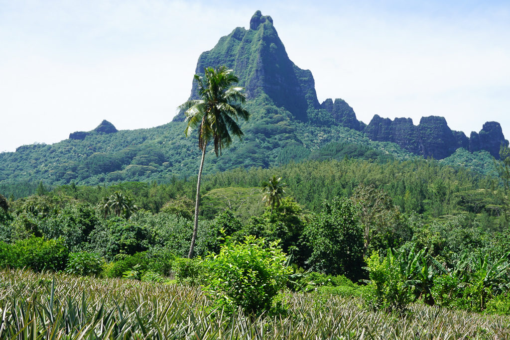 Moorea, French Polynesia - Photo by OutsideSuburbia.com