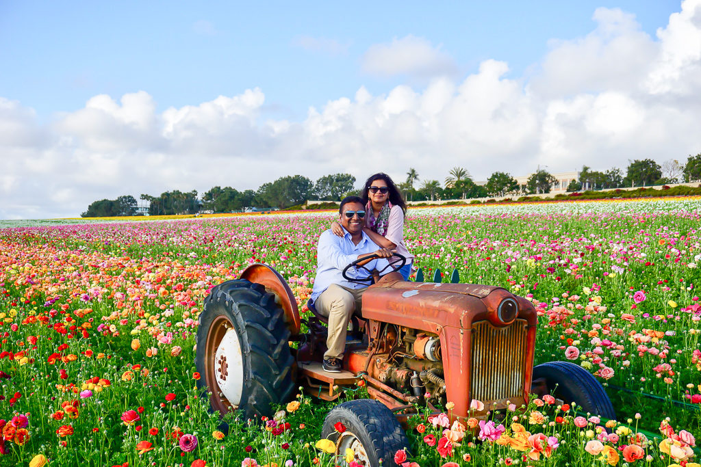 The Flower Fields, Carslbad, San Diego - Photo by Outside Suburbia