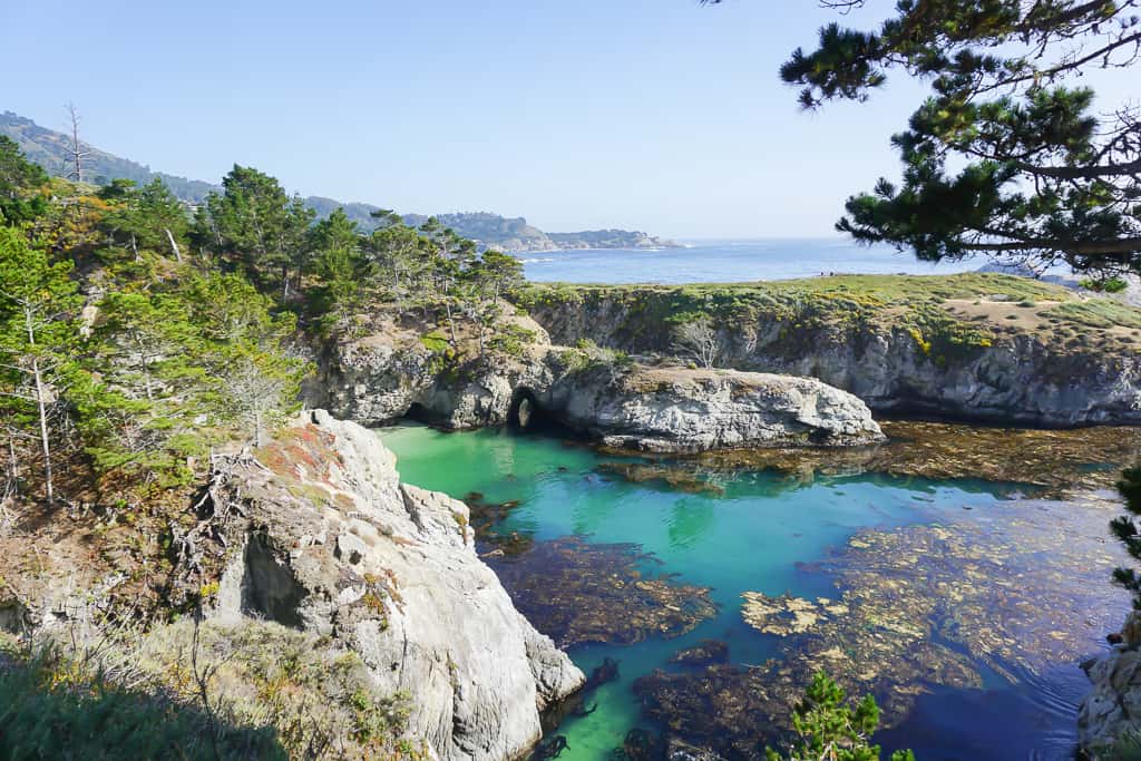 Point Lobos State National Reserve - Photo by Outside Suburbia