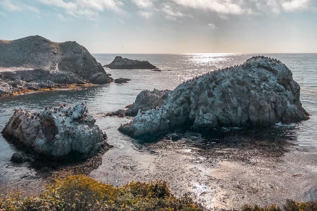 Bird Island and China Cove, Point Lobos State National Reserve - Photo by Outside Suburbia