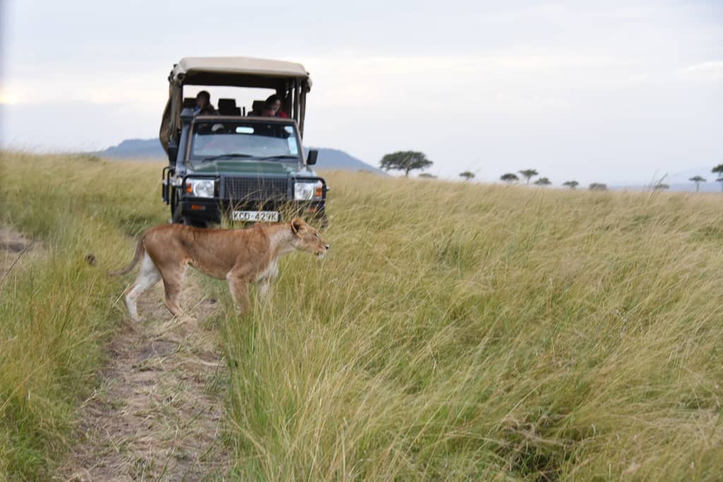 Kenya Safari - Luxury Family Safari Experience at Angama Mara, Kenya Photo by Outside Suburbia