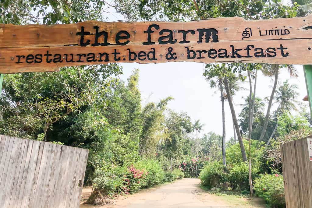 The Farm Chennai Restaurant