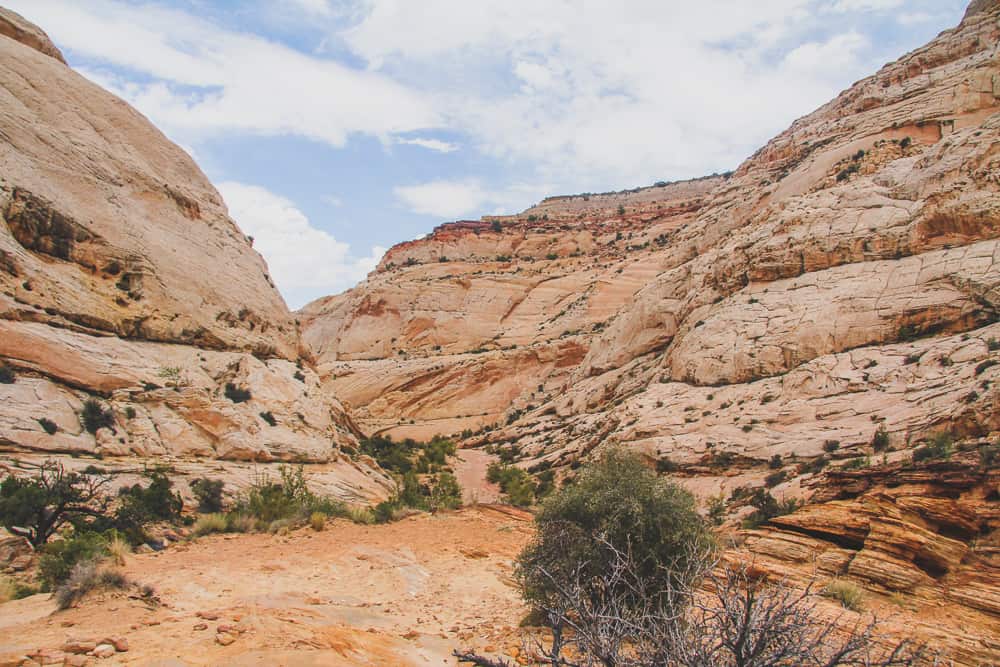 Short & Easy Hikes in Capitol Reef, Utah  -  Best US National Parks for families - OutsideSuburbia.com