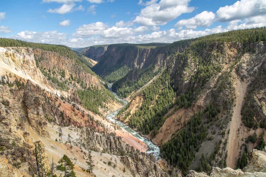 Grand Canyon of Yellowstone! Best things to  see in Yellowstone - OutsideSuburbia.com