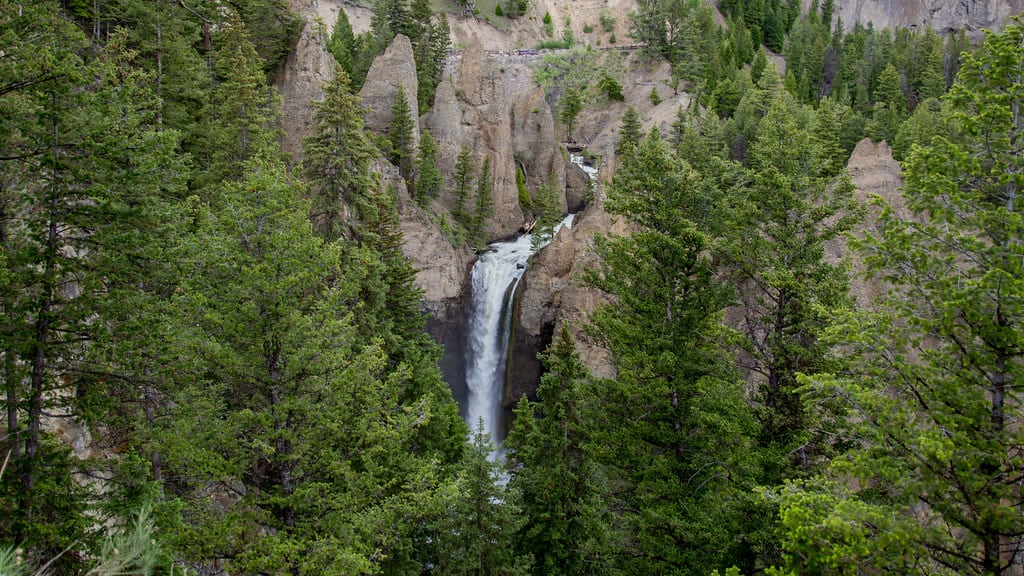 Best things to see and do in Yellowstone - OutsideSuburbia.com