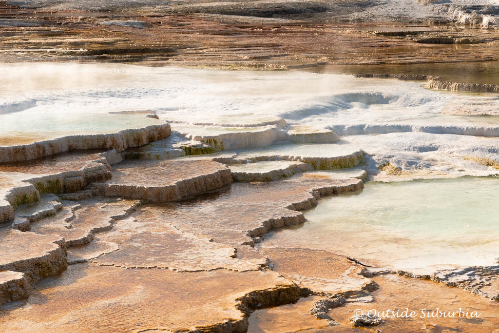 Best things to see in Yellowstone -  Mammoth Hot Spring Terrace! OutsideSuburbia.com 