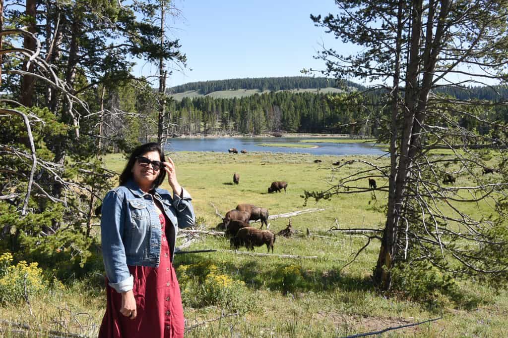 A Safari in Wyoming at Hayden Valley, Yellowstone - Photo by OutsideSuburbia.com