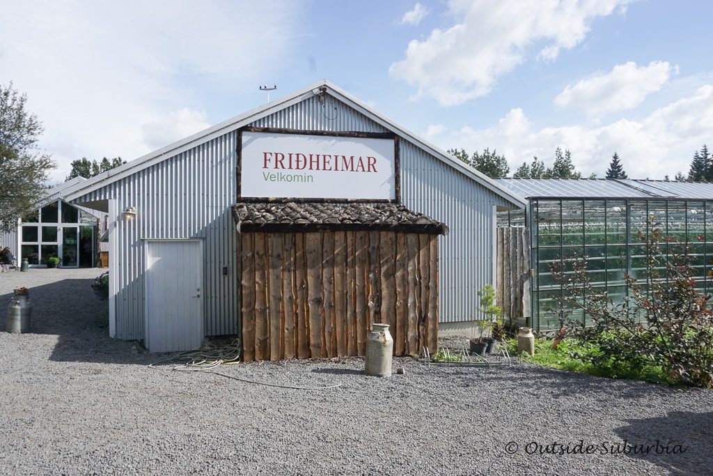 Fridheimar Tomato Greenhouse in Iceland - OutsideSuburbia.com