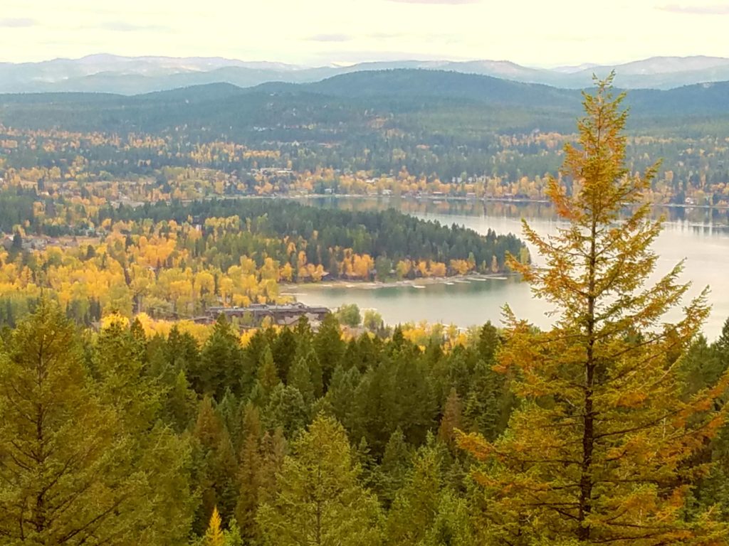 Fall colors in Montana