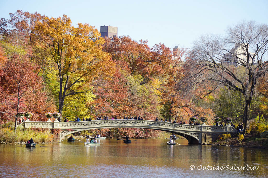 Fall colors & November in New York City • Outside Suburbia Family