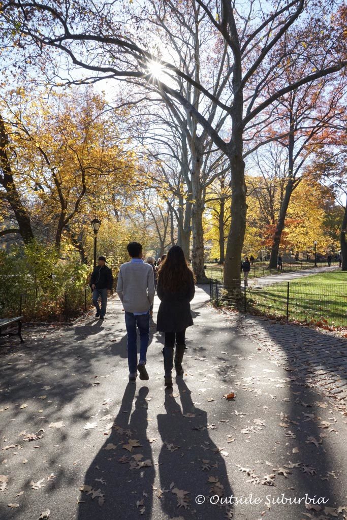 Fall colors in Central Park - November in New York City