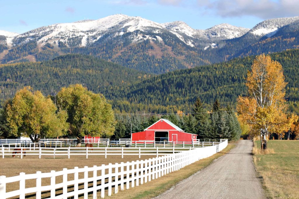 Fall colors in Whitefish, Montana