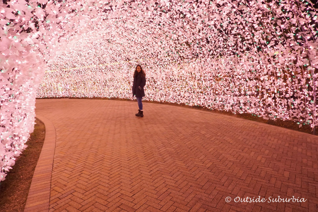 Illuminations at the Nagashima Resort - Two week  Itineray for Japan in Winter- Photo by Outside Suburbia
