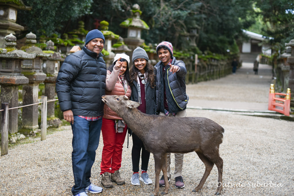 One day in Nara Itinerary | Outside Suburbia