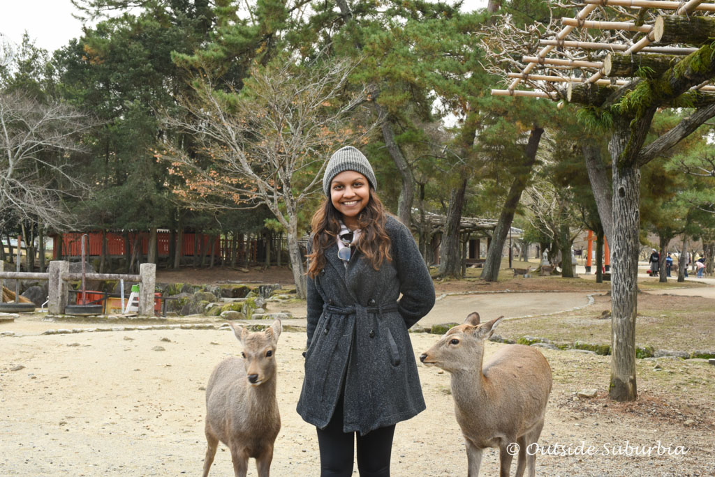 Best things to do in Nara Park, Japan | Outside Suburbia
