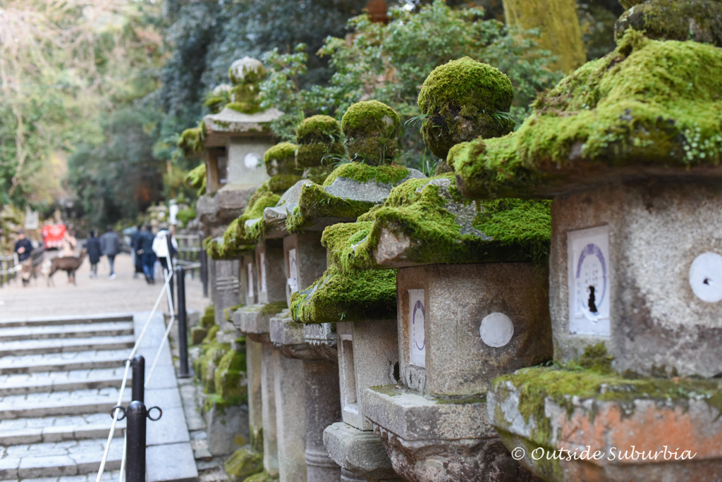 Best things to do in Nara, Japan | Outside Suburbia