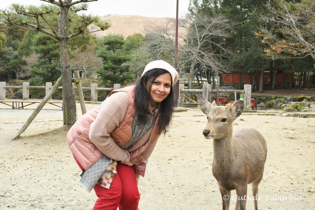 A Day trip to Nara Park, Japan | Outside Suburbia