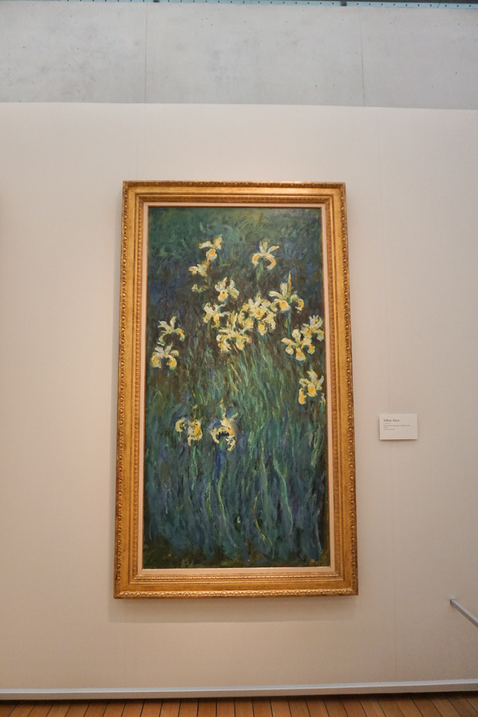 Yellow Iris  - Claude Monet Paintings