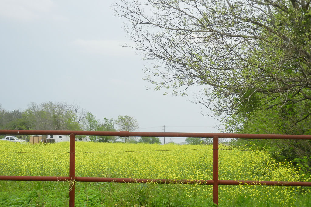 Spring road trip in the Texas Hill Country