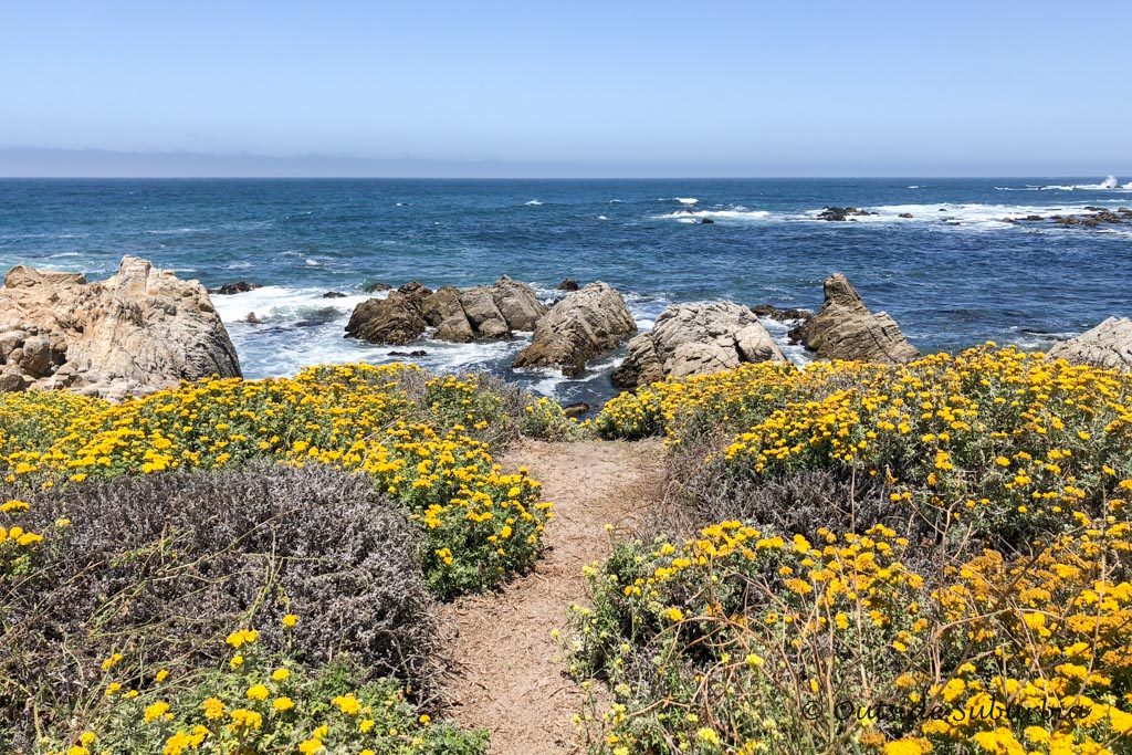 17-Mile Drive, near Monterey Bay in California - Outside Suburbia