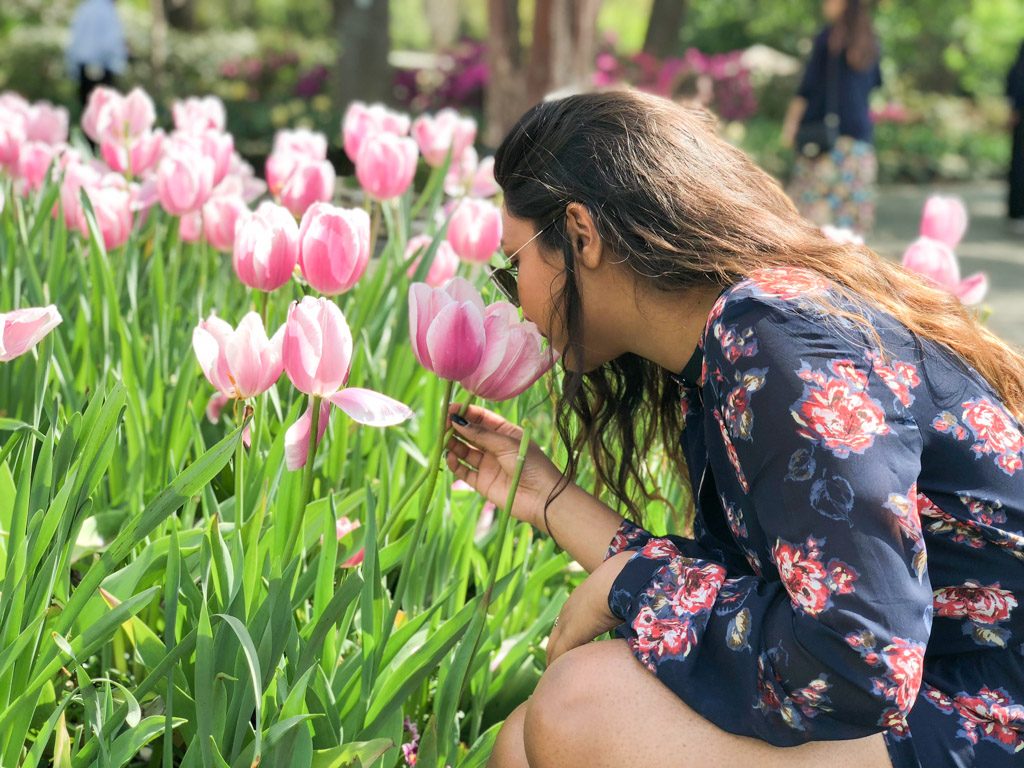 where to see spring flowers in USA