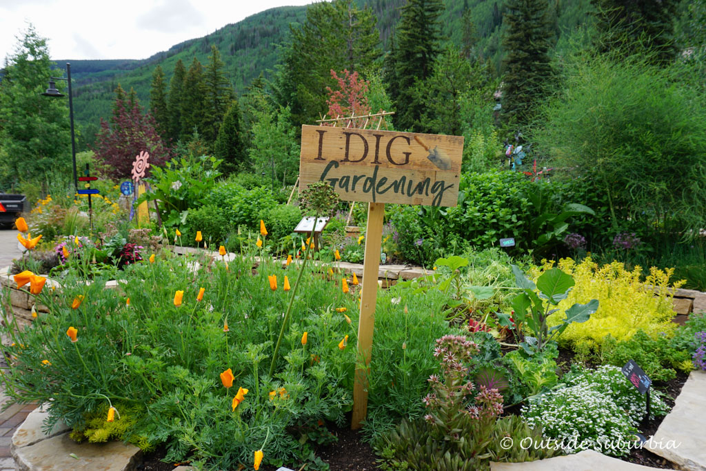 Betty Ford Alpine Gardens, Vail, Colorado - Outside Suburbia