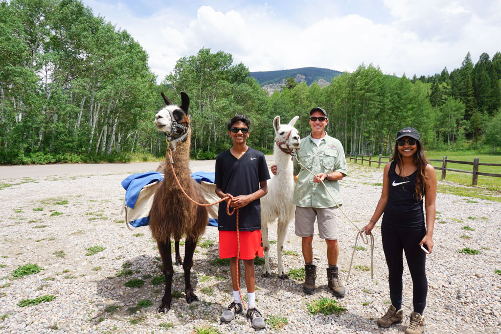 A Picnic and hike with a Llama in the Colorado Rockies - Outside Suburbia